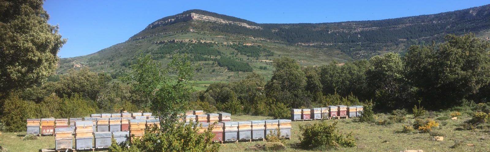 Colmenar miel Cantavieja Colmenar Cantavieja