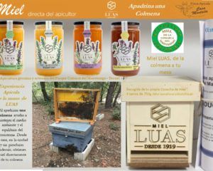 Apadrinar una colmena (Estándar)