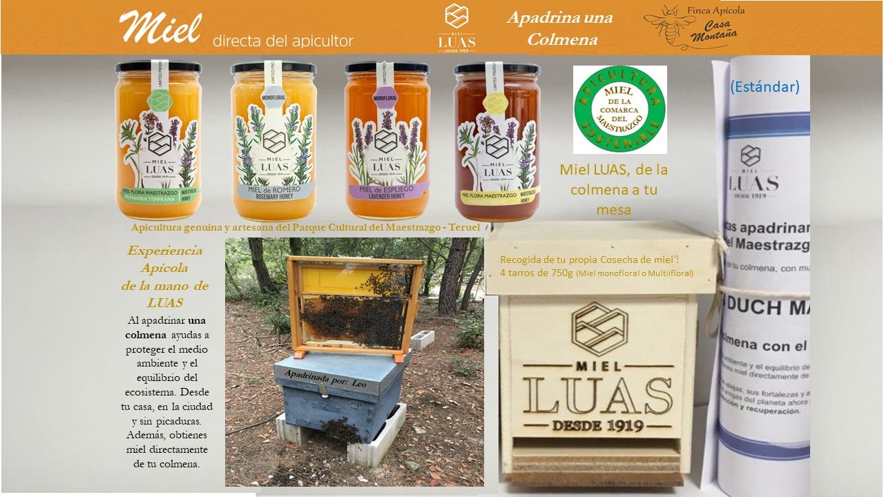 Apadrinar una colmena (Estándar) Apadrinar una colmena (Estándar)