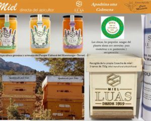 Apadrina una colmena (Mini)