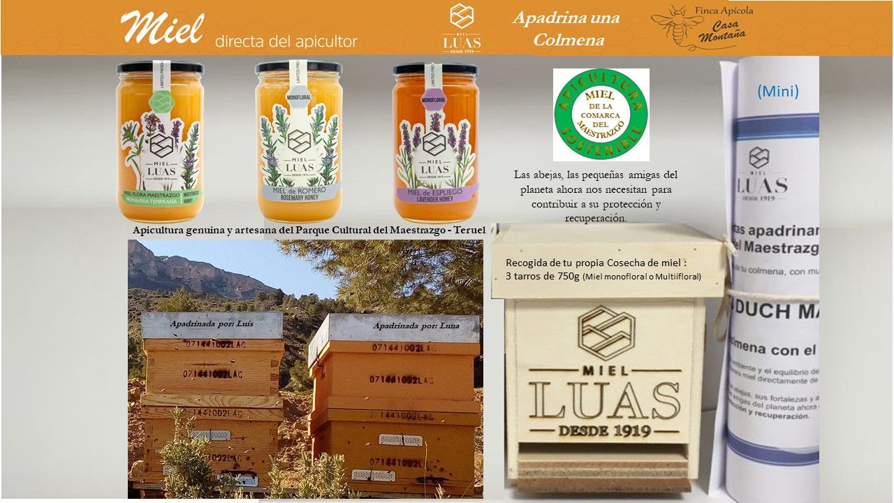 Apadrina una colmena (Mini) Apadrina una colmena (Mini)