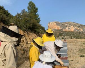 APITURISMO CULTURAL "CASA MONTAÑA"