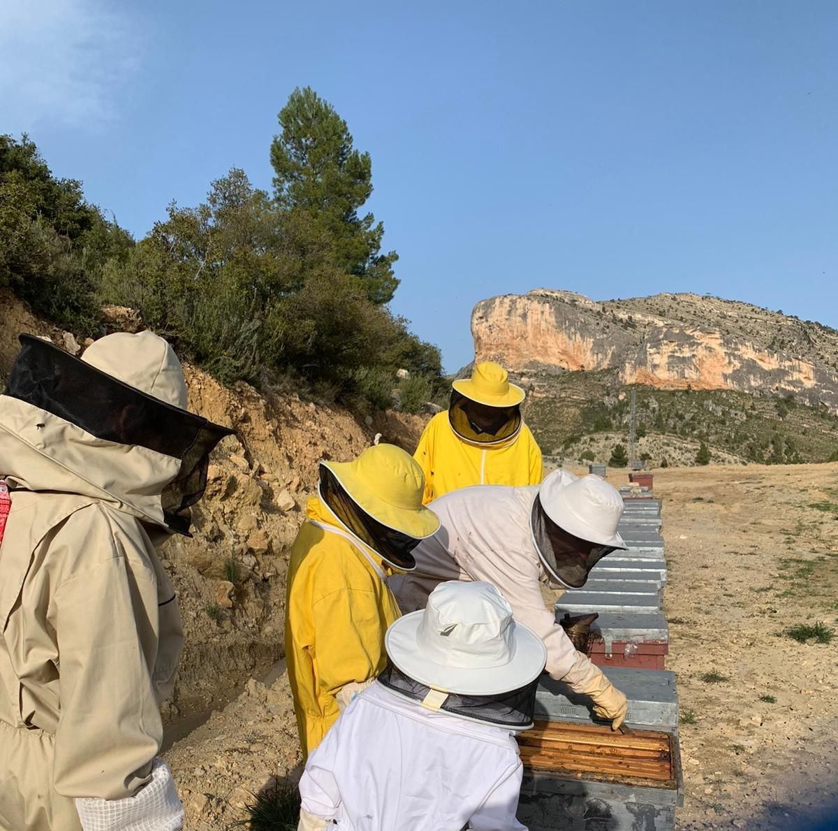 APITURISMO CULTURAL "CASA MONTAÑA" APITURISMO CULTURAL "CASA MONTAÑA"