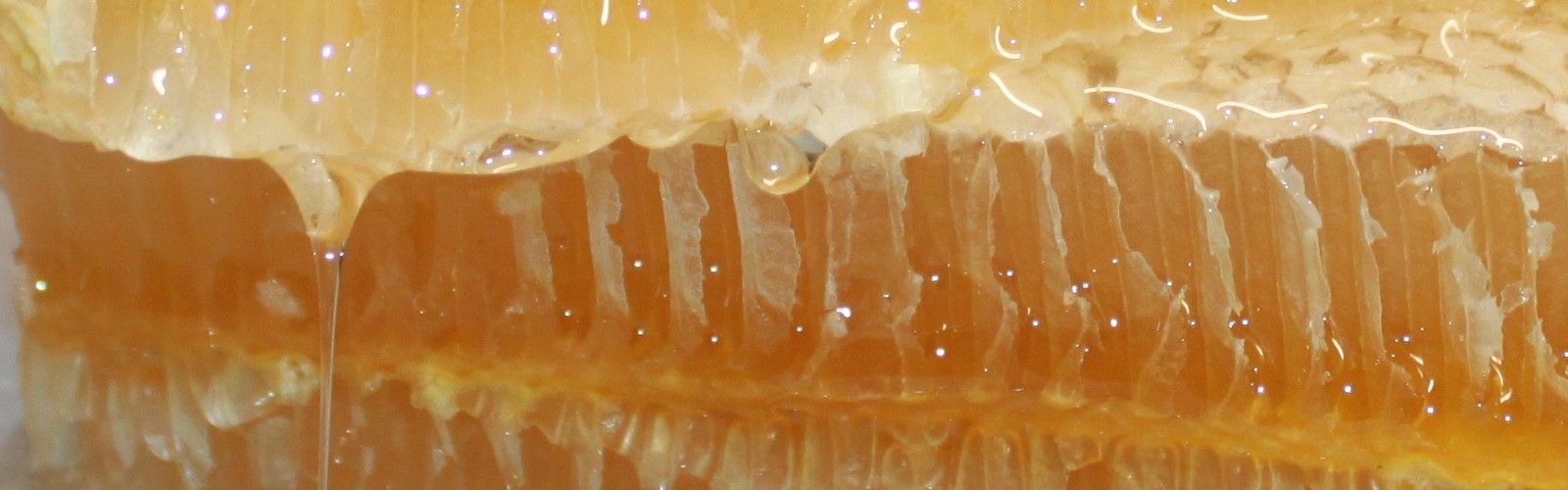 De la colmena a la mesa