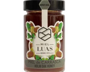 Miel de mielatos de Carrasca