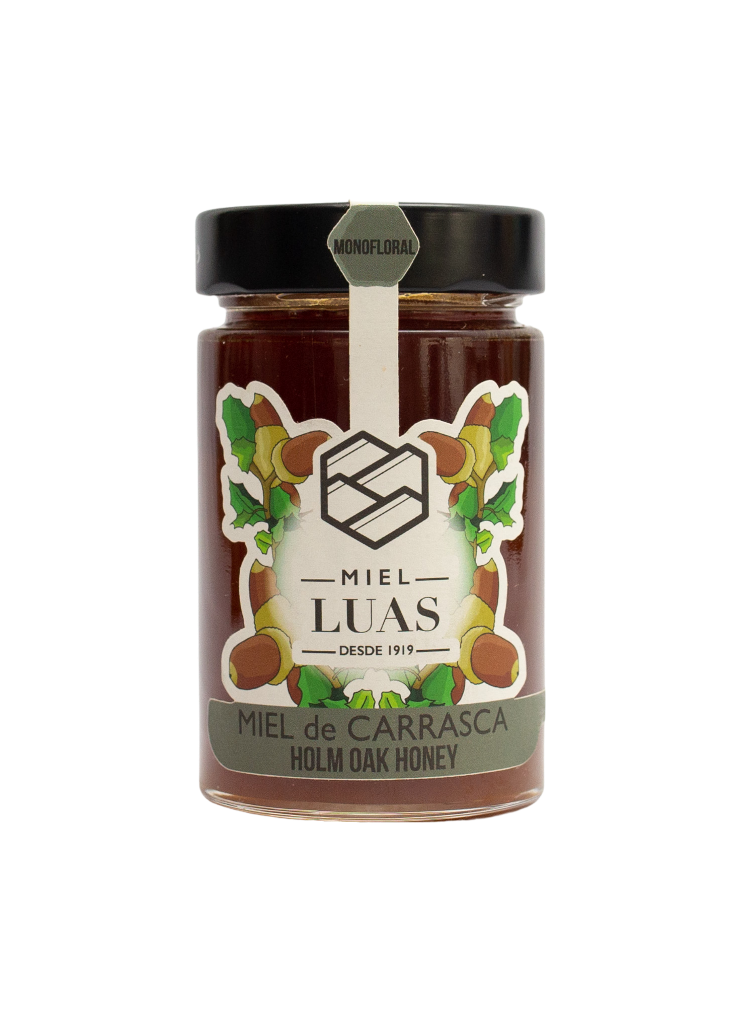 Miel mielato bellota Carrasca