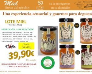Miel auténtica gourmet con identidad