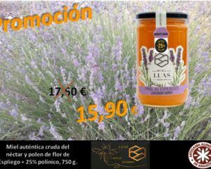 Miel flor de Espliego Premium