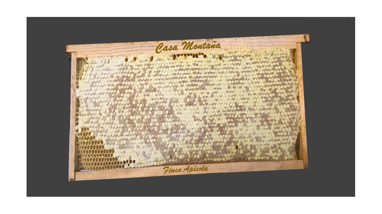 Miel en Panal directo del apicultor 2.500k aprox Miel en Panal directo del apicultor 2.500k aprox