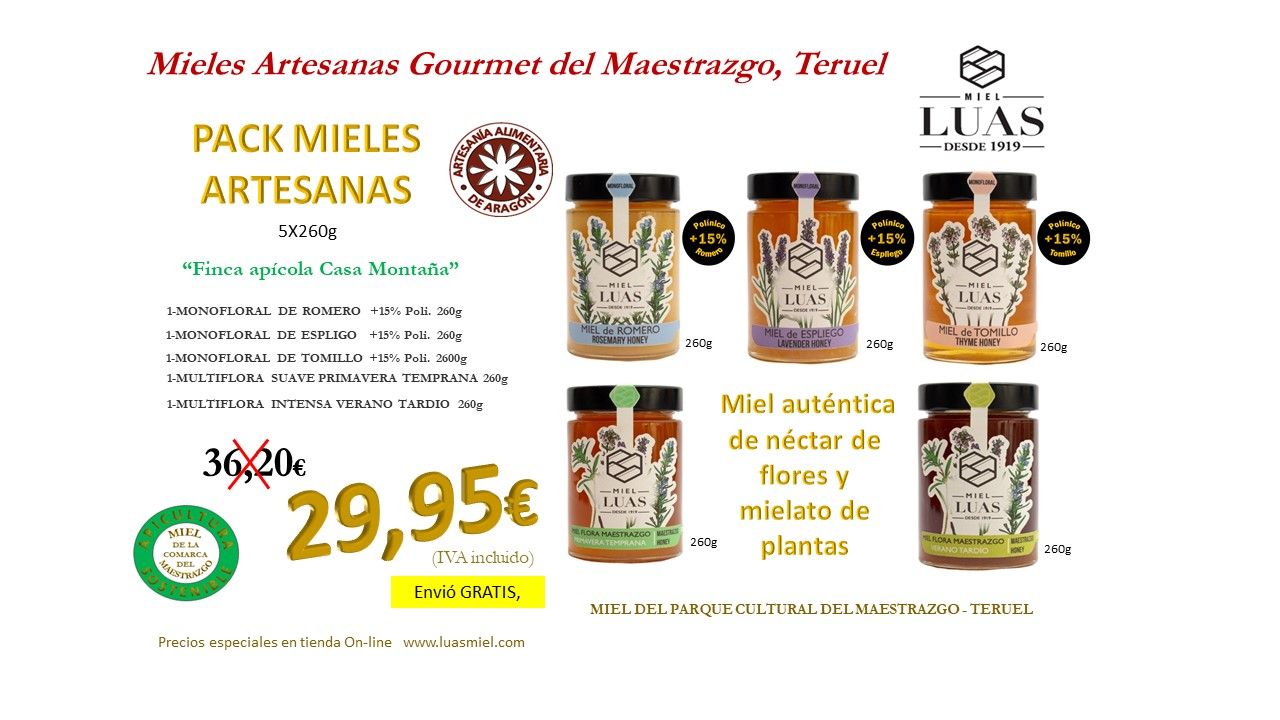 Miel artesana pura 100% selección Casa Montaña 5X260g