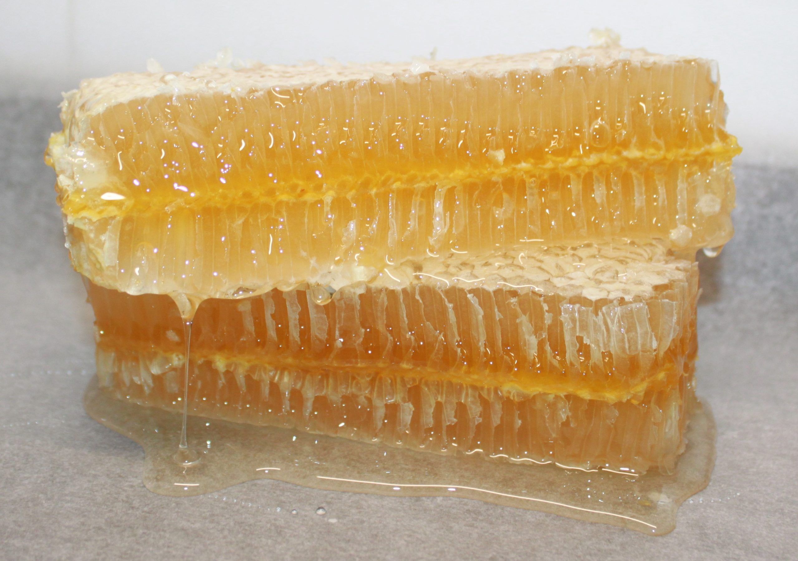 Panal miel romero y floral